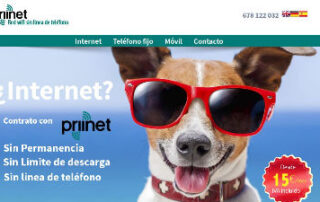 Servicios de internet 8