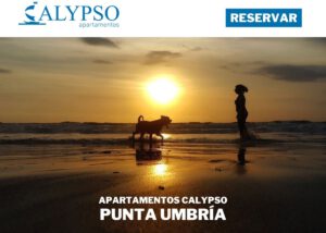 Páginas web para hoteles y apartamentos 11 crear web apartamento huelva