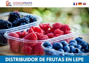 Frutería Online 6 disenador pagina web fruteria online huelva